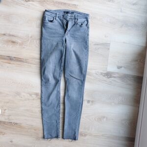 Charlie High Rise Skinny Ankle Size 24